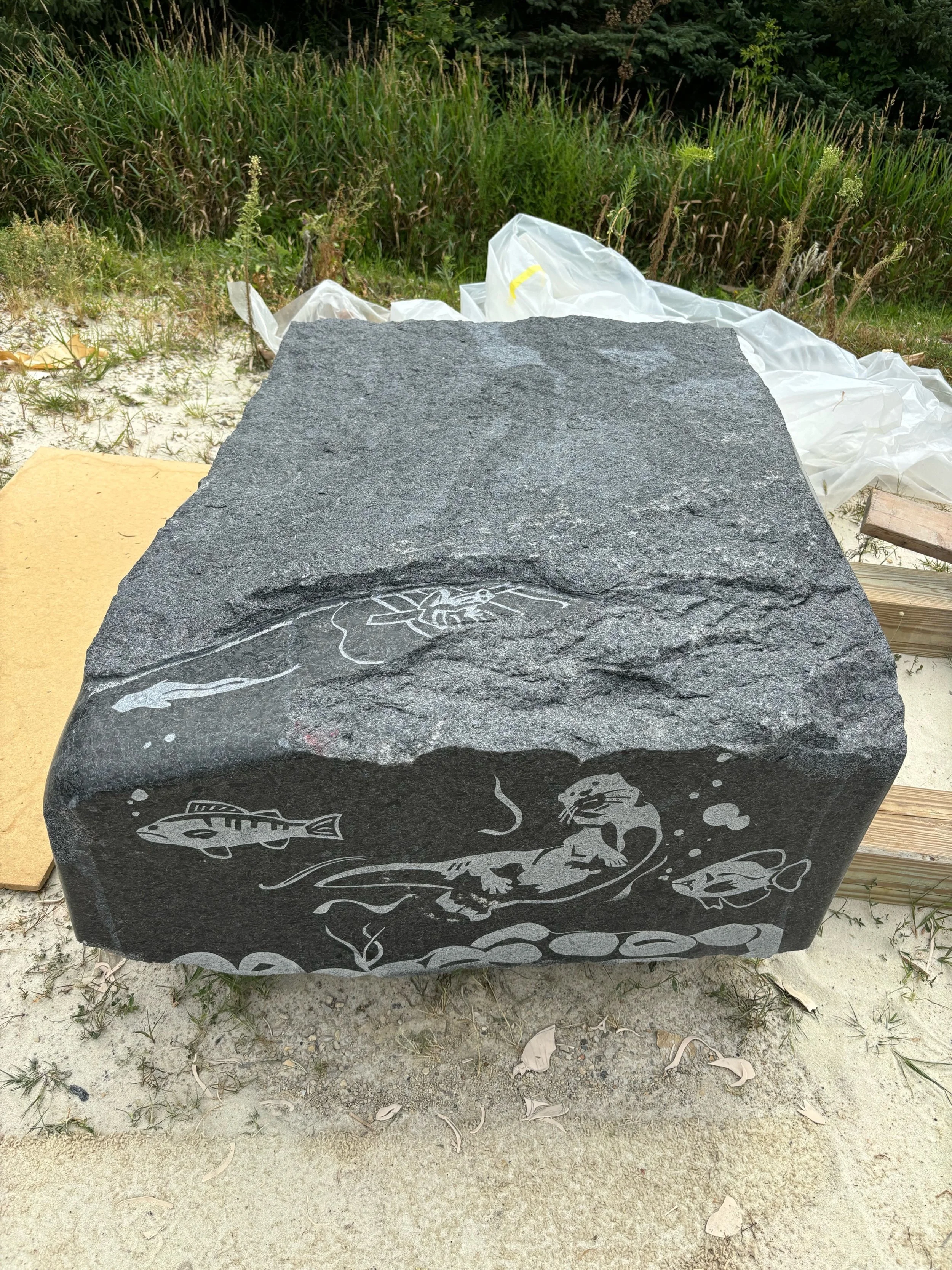 Historic Cook County Presents Public Art Project "Biota Borealis" Unveiling 