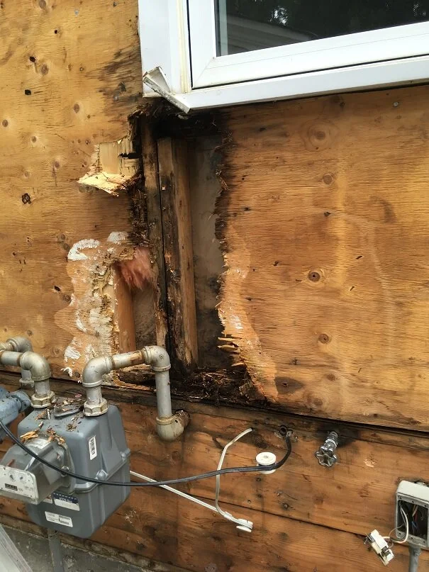 Vinyl Siding Rotten Window Close.JPG