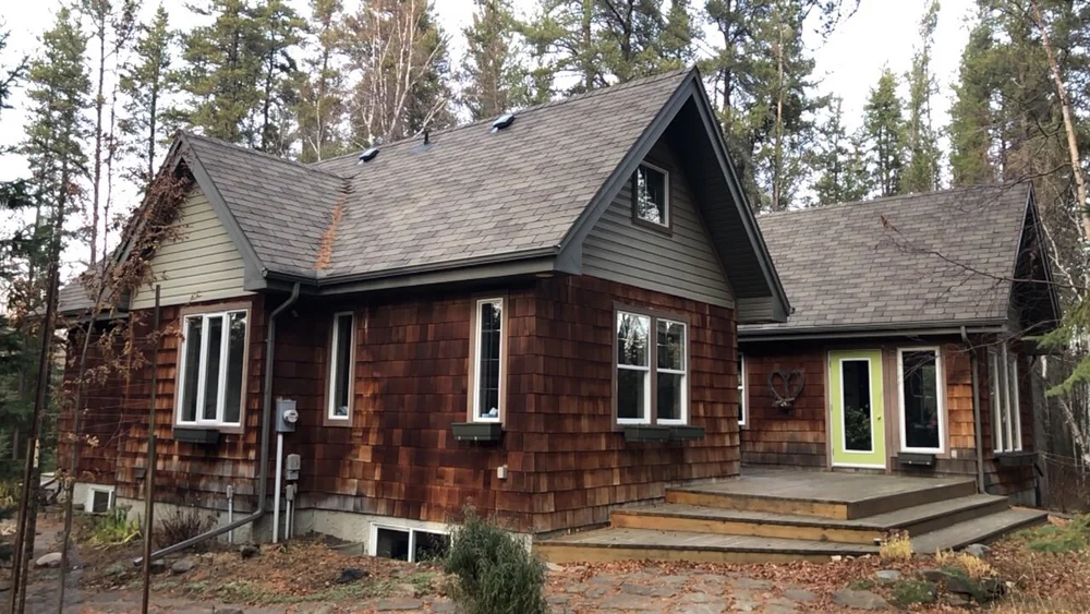 Re Siding To Deal With A Woodpecker Problem Blue Jay Exterior Renovations