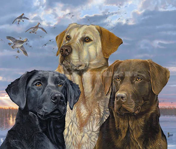 Early+Morning+TrioYellow+black+chocolate+lab+labrdor+duck+waterfowl+art+canvas+print+original+acrylic+painting+artist+scot+storm.jpg