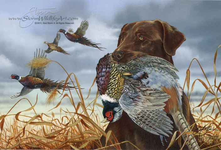Field+Companion+Chocolate+labrador+lab+sporting+dog+pheasant+art+print+painting+artist+scot+storm.jpg