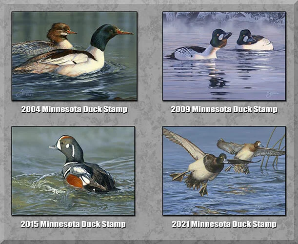 Minnesota Duck Stamp Print 4 Print Package — Scot Storm Wildlife Art