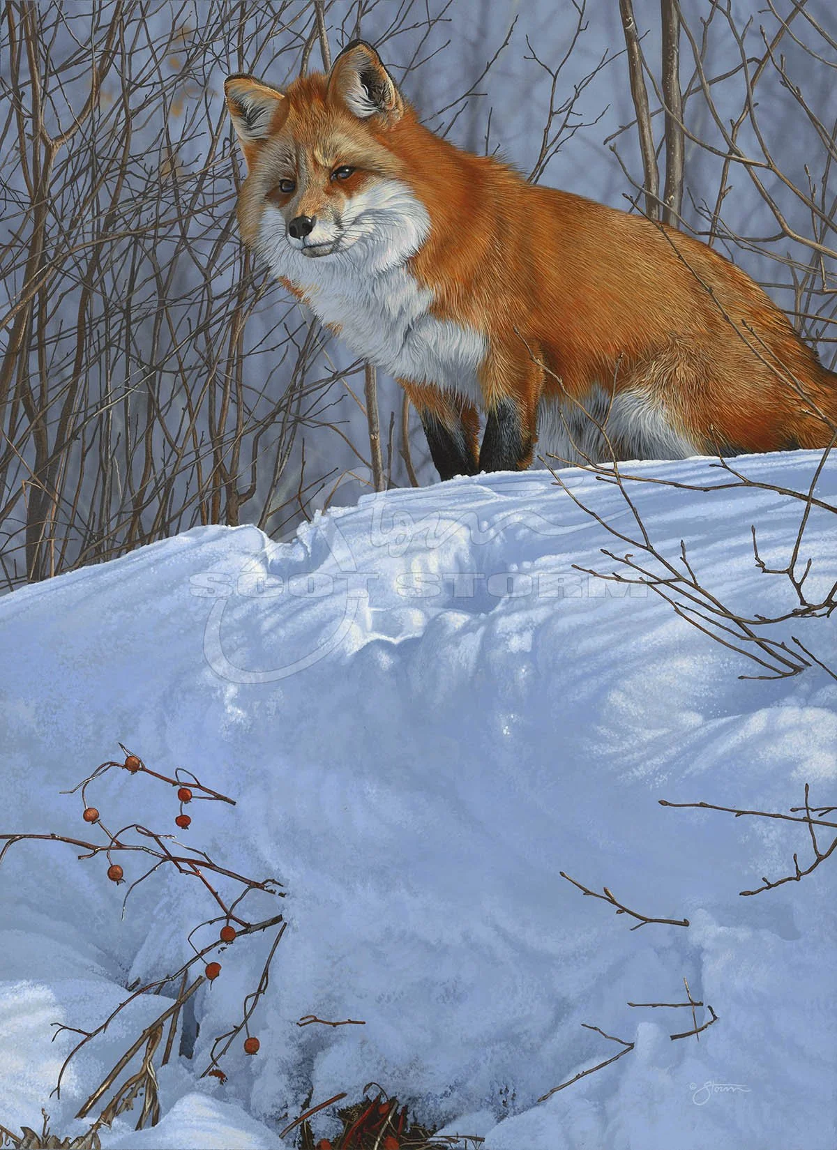 Winter+Red+fox+predator+Scot Storm+wildlife+art+prints+original+painting.jpg