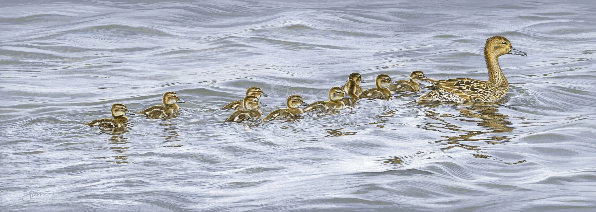 Springtime Parade+pintail+duckling+Scot Storm+wildlife+art+prints+original+painting+waterfowl+duck+ducks unlimited+delta waterfowl.jpg