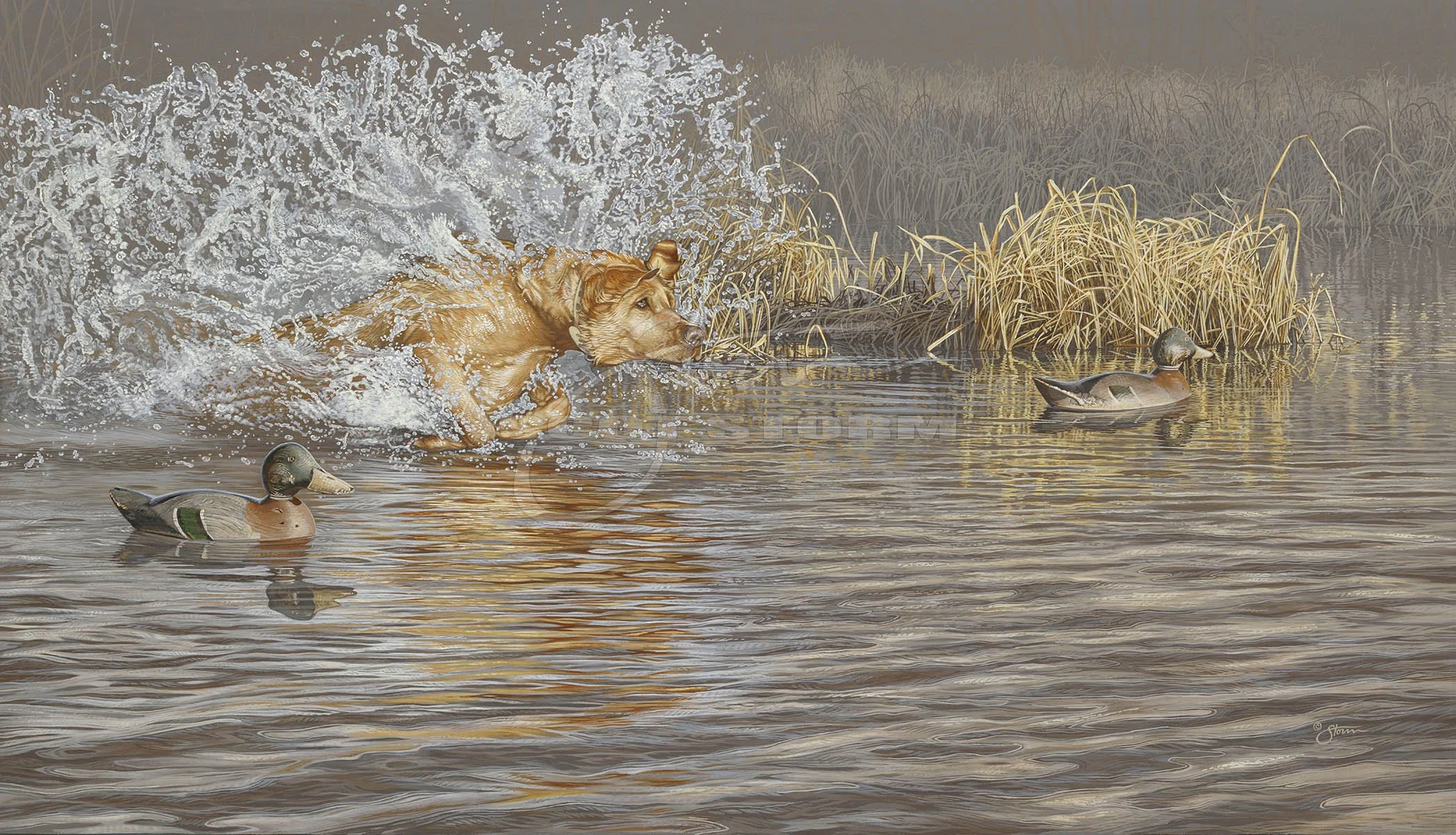 Time to Shine+yellow lab+labrador+mason+wood+decoys+hunting+Scot Storm+waterfowl+wildlife+art+prints+original+painting+duck+ducks unlimited+delta waterfowl.jpg
