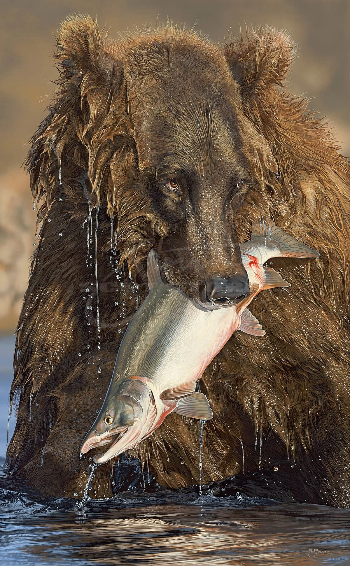 Dinner Time+brown+bear+grizzly+salmon+predator+western+Scot Storm+wildlife+art+prints+original+painting.jpg