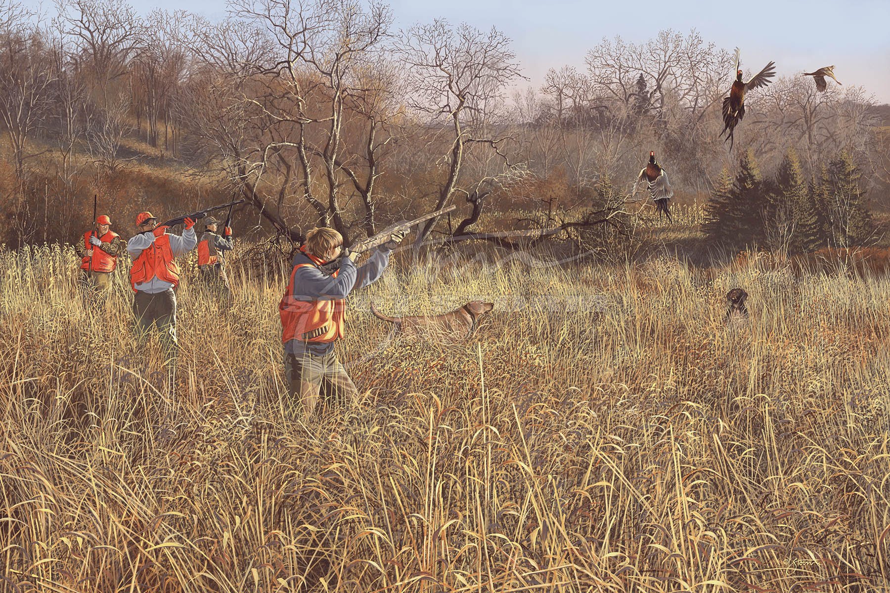 Memories in the Field+hunting+pheasant+quail+sporting+dog+pheasants forever+quail unlimited+Scot Storm+wildlife+art+prints+original+painting.jpg