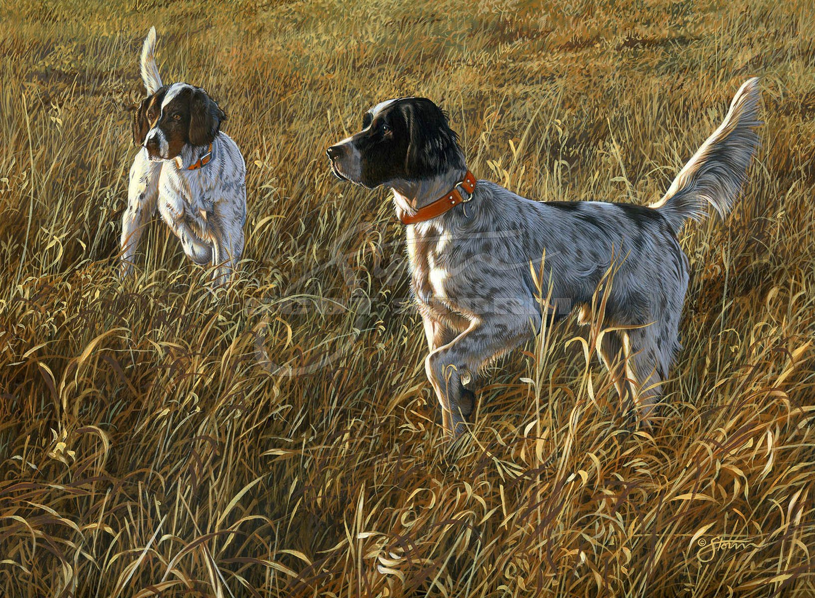 The Point+English+Setters+sporting+dog+hunting+upland+Scot Storm+wildlife+art+prints+original+painting.jpg