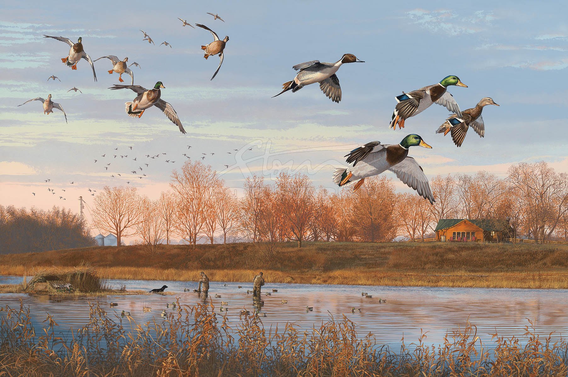 Sunset at Ritz Hill Duck Club+mallard+pintail+hunting+Scot Storm+wildlife+art+prints+original+painting+waterfowl+duck+ducks unlimited+delta waterfowl.jpg