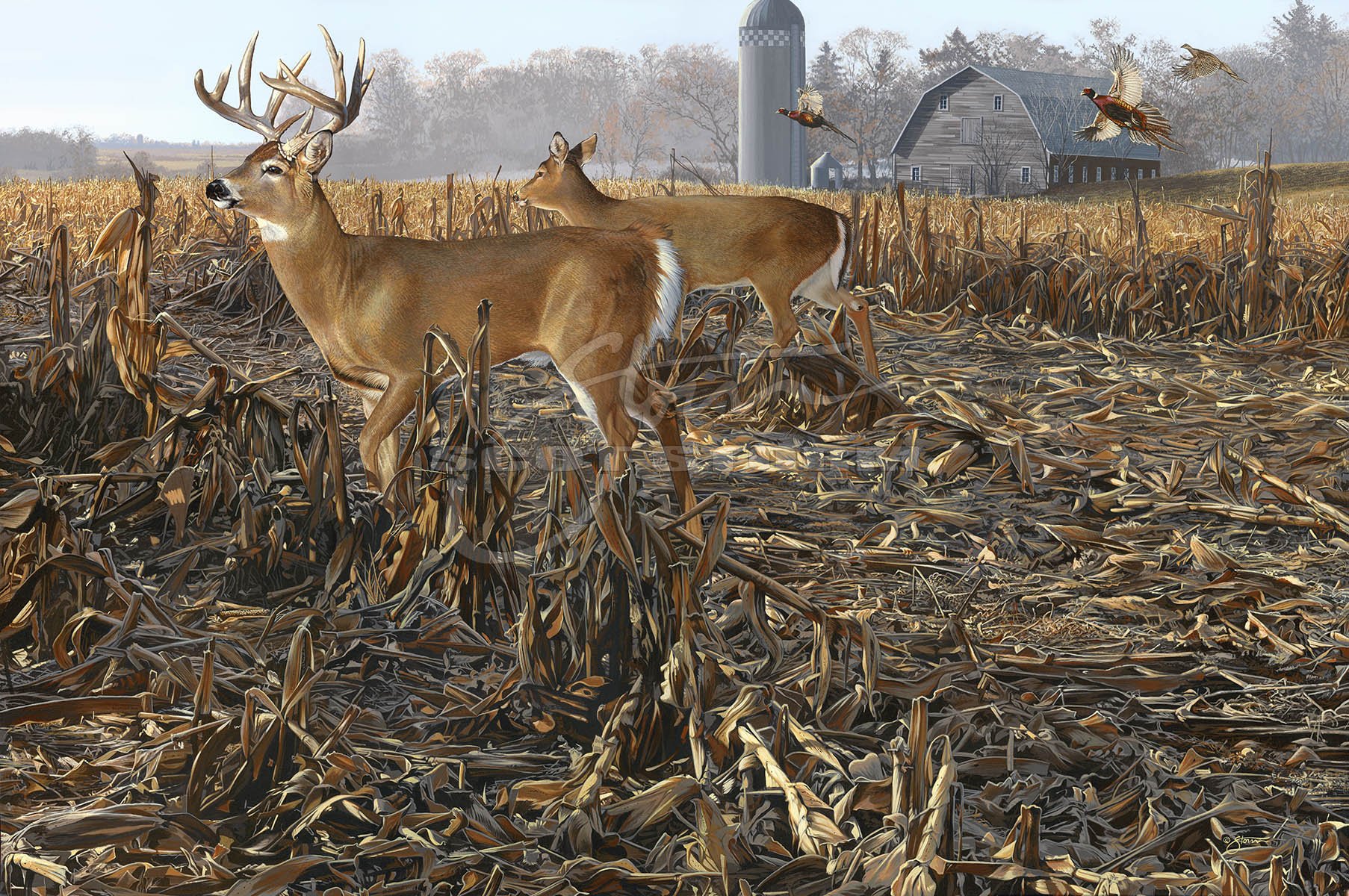 Back Forty+whitetail+deer+pheasant+whitetails unlimited+pheasants forever+Scot Storm+wildlife+art+prints+original+painting.jpg