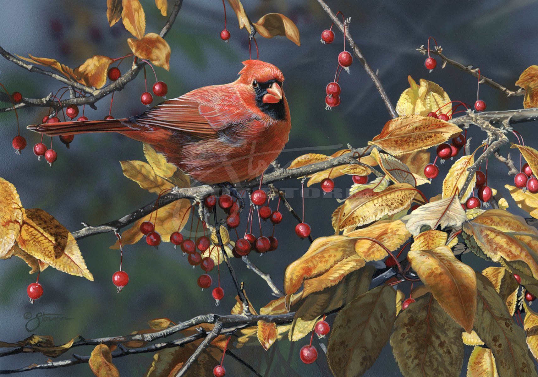 Crabapple Cardinal II+cardinal+songbird+Scot Storm+waterfowl+wildlife+art+prints+original+painting.jpg