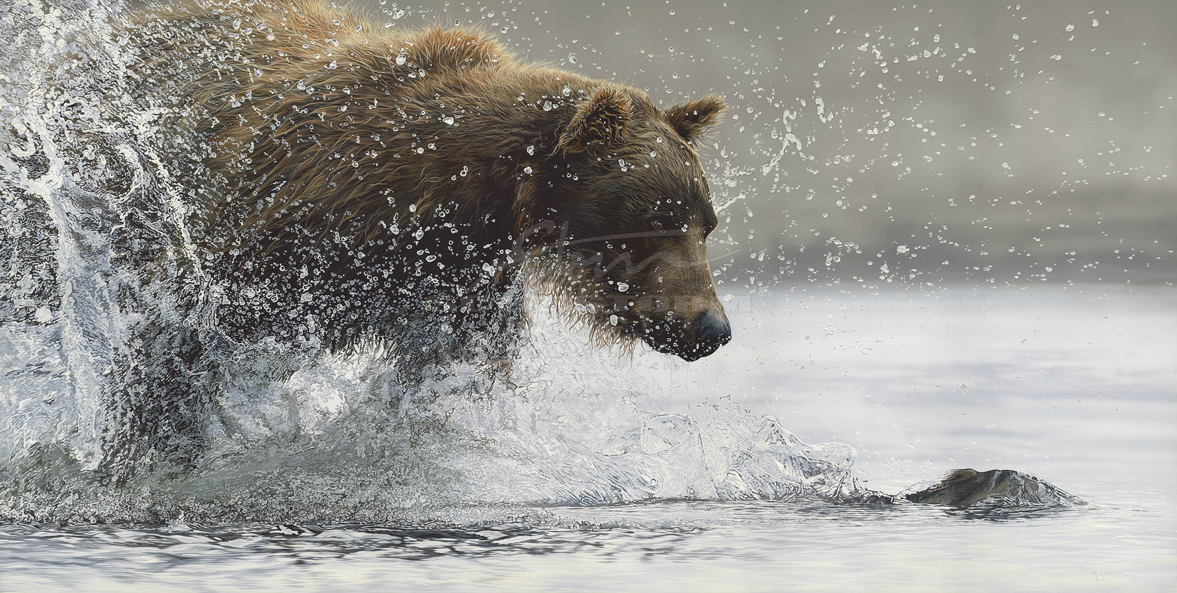 Salmon Run+salmon+brown+bear+grizzly+predator+western+Scot Storm+wildlife+art+prints+original+painting.jpg