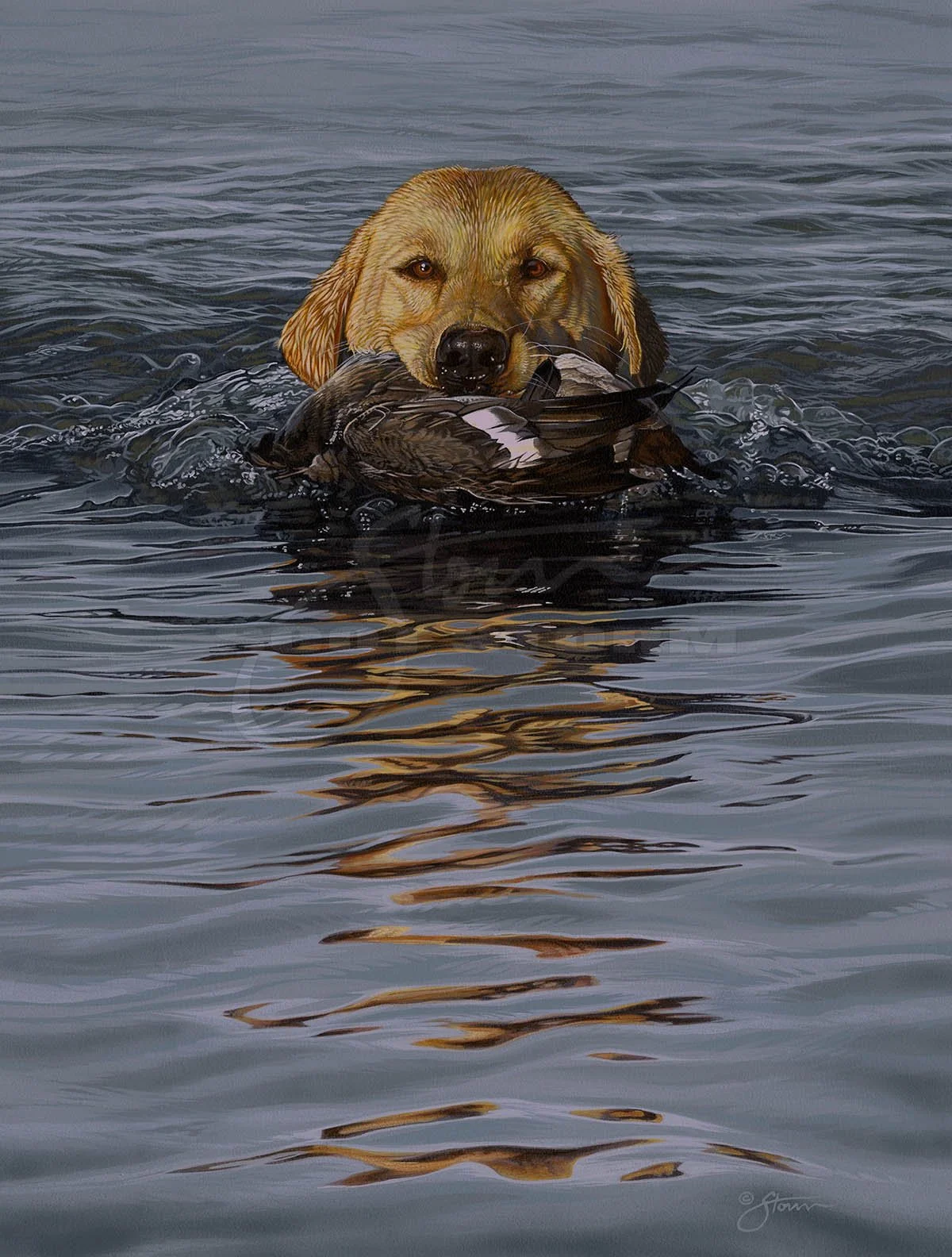 First Time+yellow+lab+labrador+scaup+sporting+dog+swimming+Scot Storm+waterfowl+wildlife+art+prints+original+painting+duck+ducks unlimited+delta waterfowl.jpg