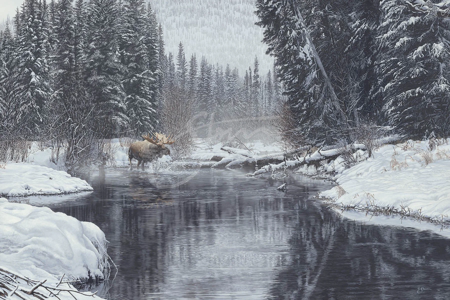 Solitary Crossing