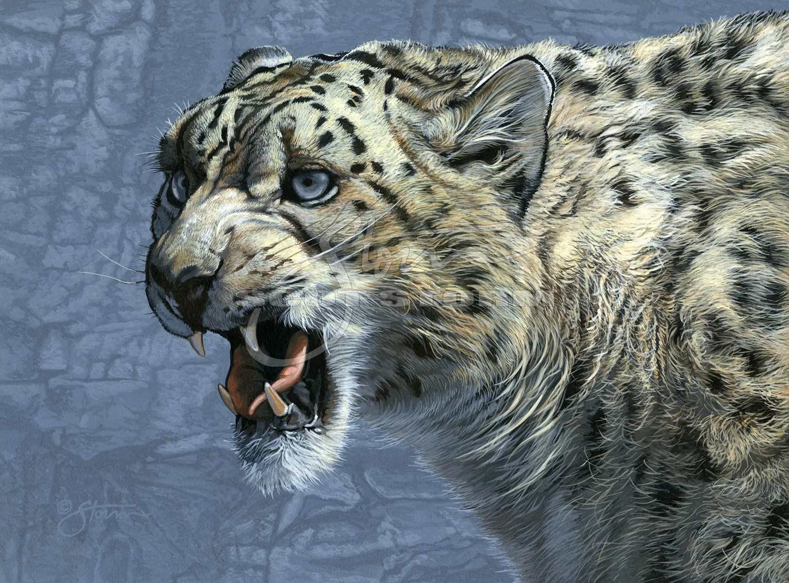 Snow Leopard