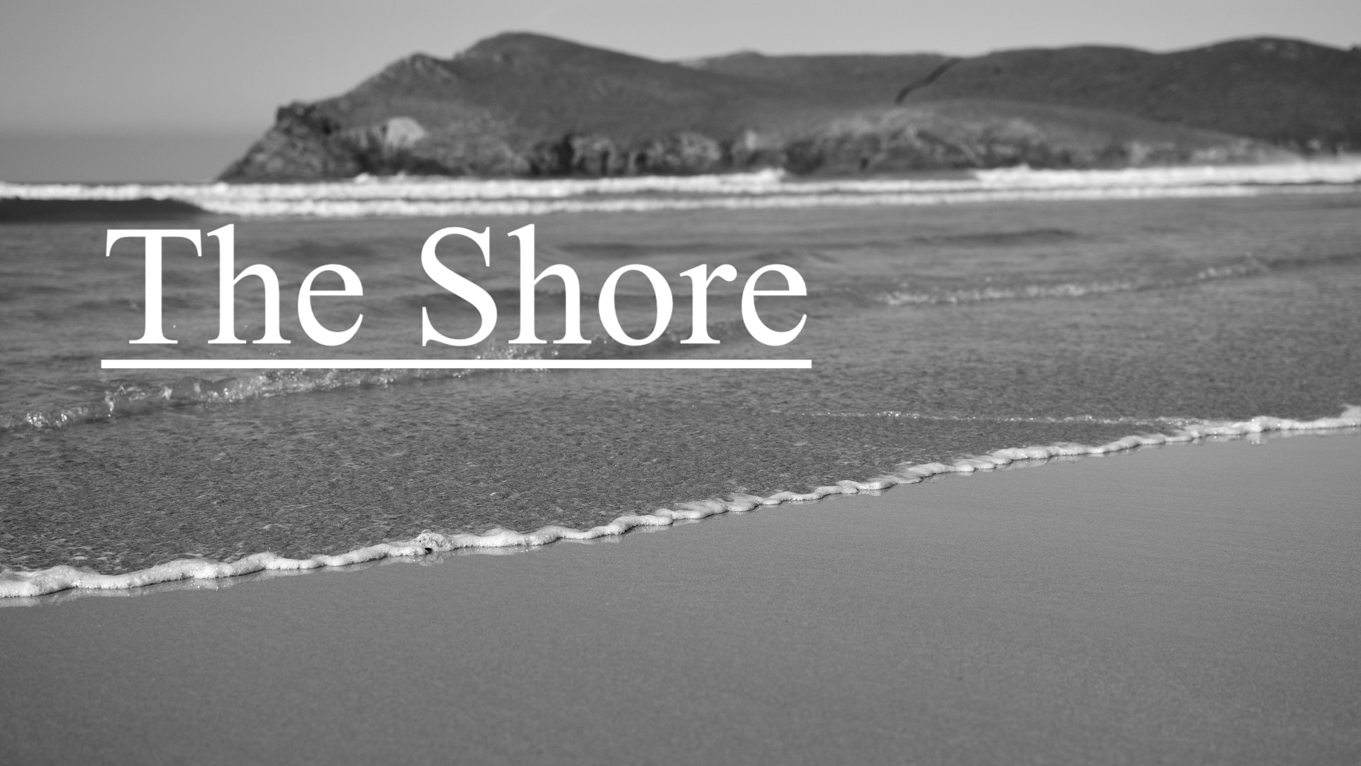 The Shore.jpg