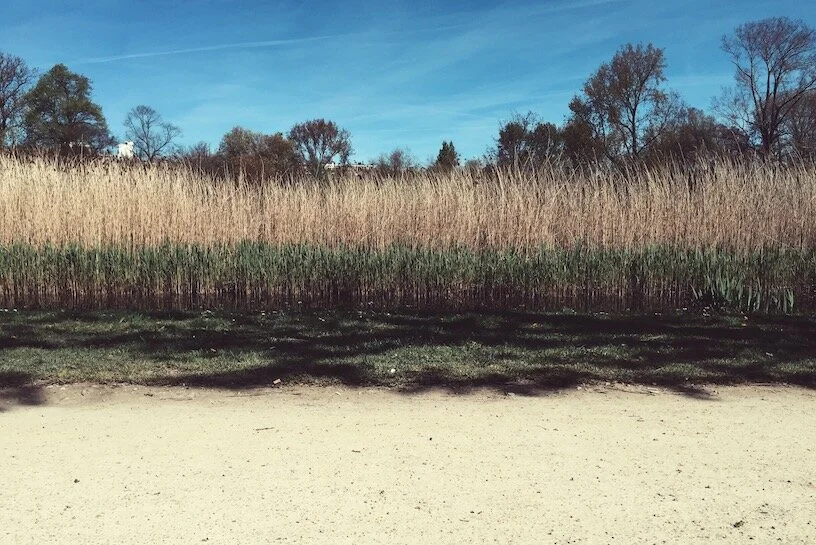 Photo 2016-05-05, 5 05 54 PM.jpg