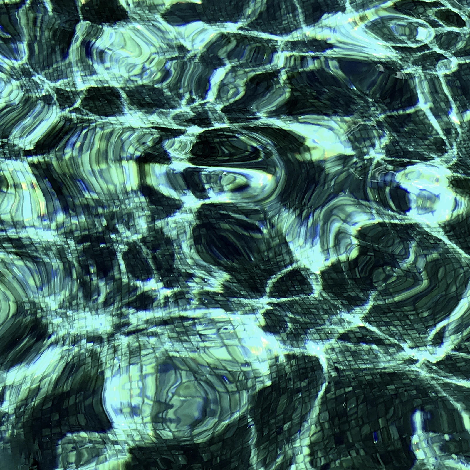 piscine2 copie.jpg