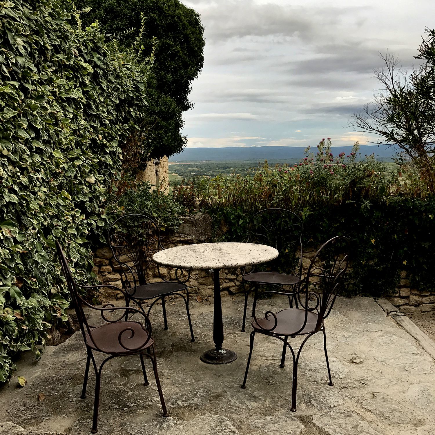jardin copie.jpg