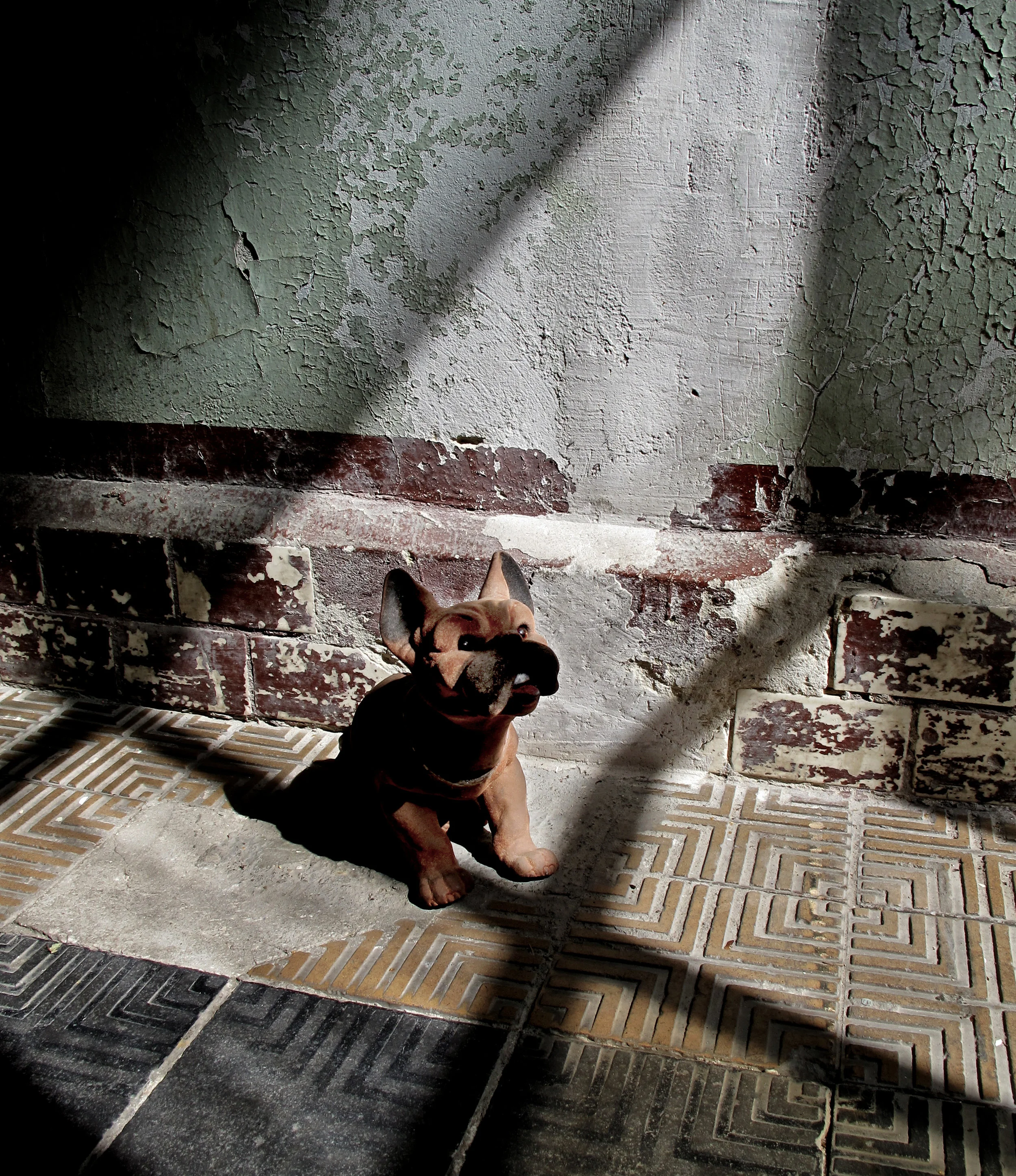 chien dodelinant.jpg