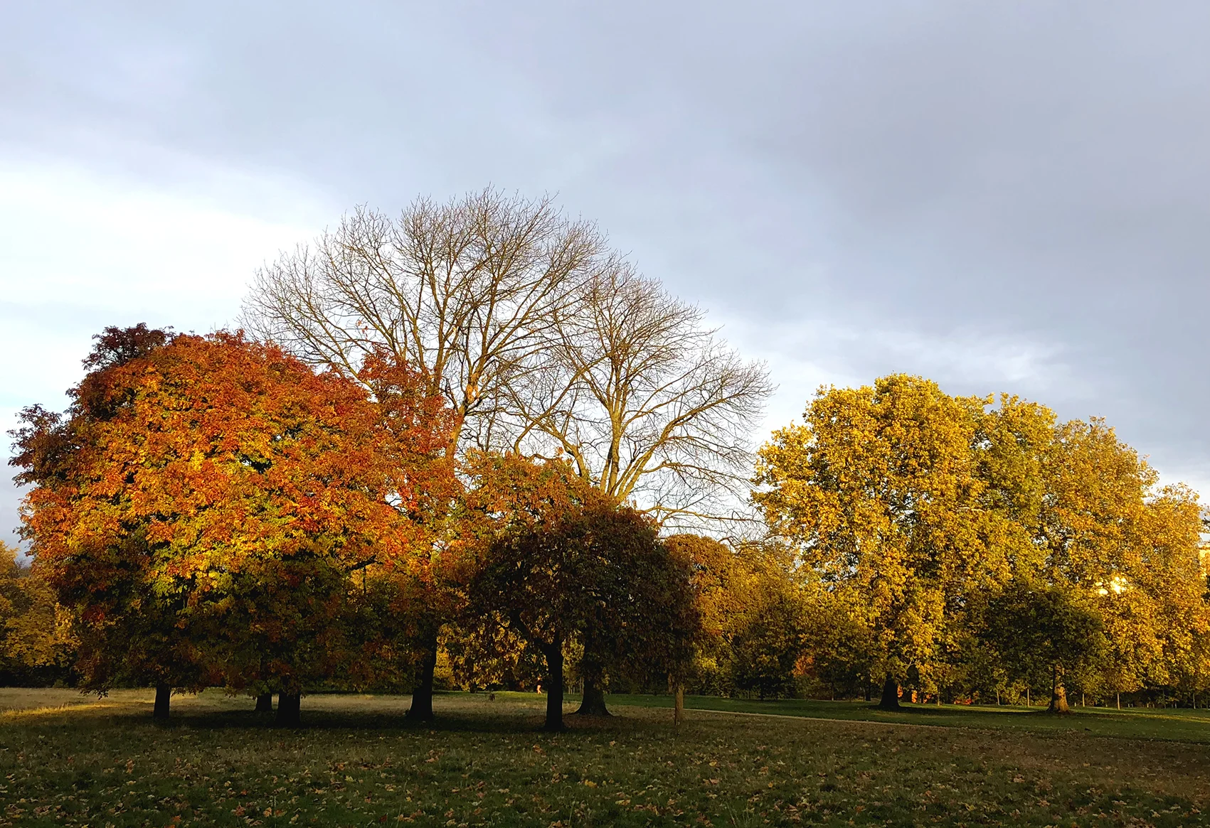 automne, saisons.jpg
