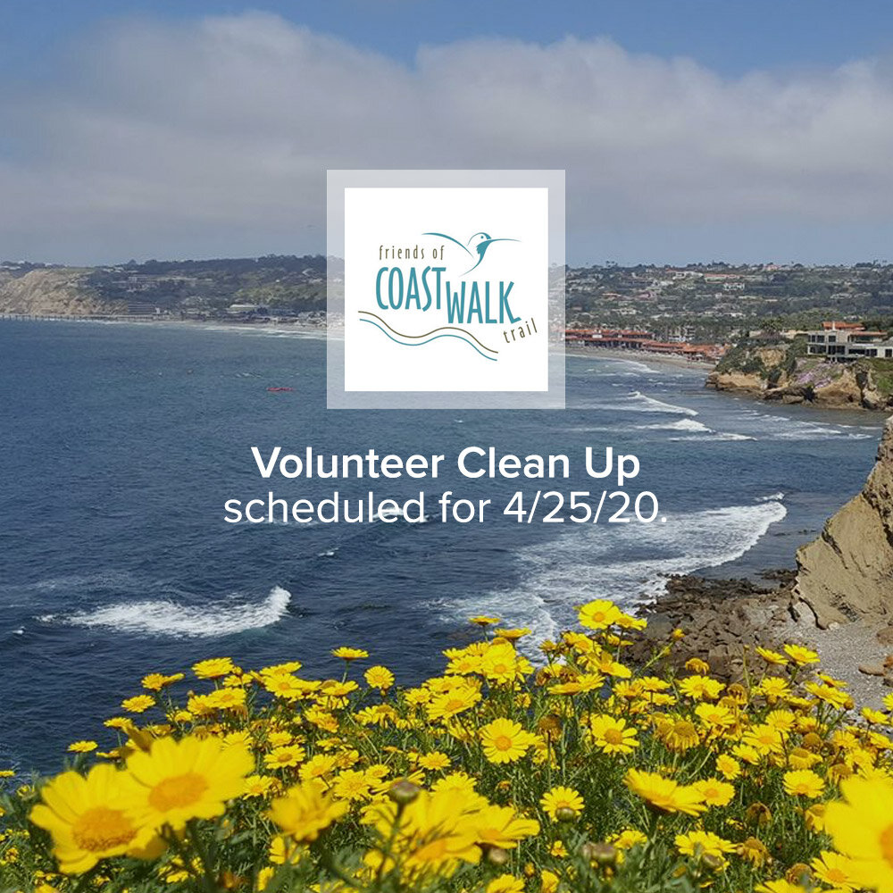 Volunteer Clean Up
