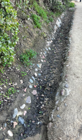 After Erosion Repair