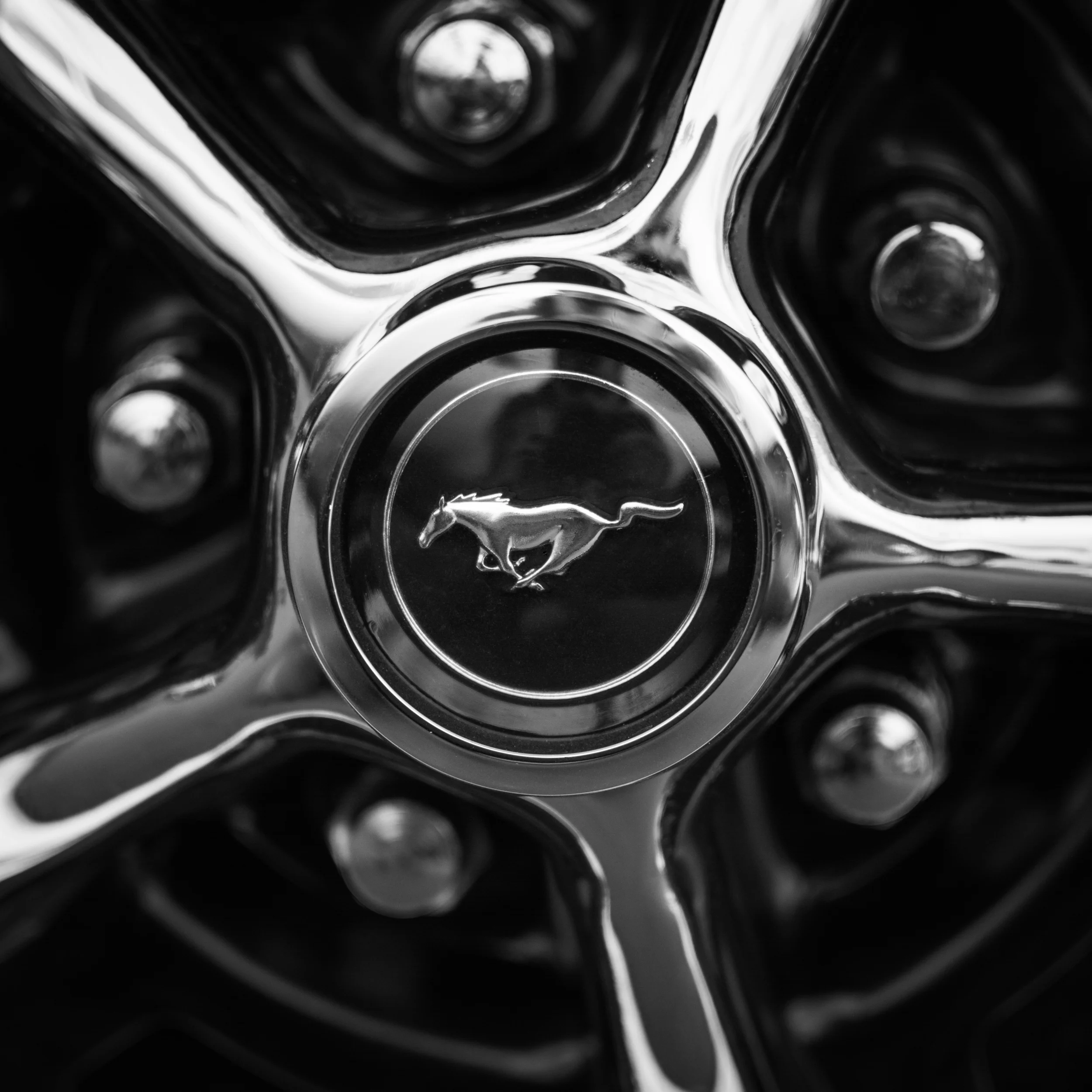 DSC_3521-Modifier.jpg