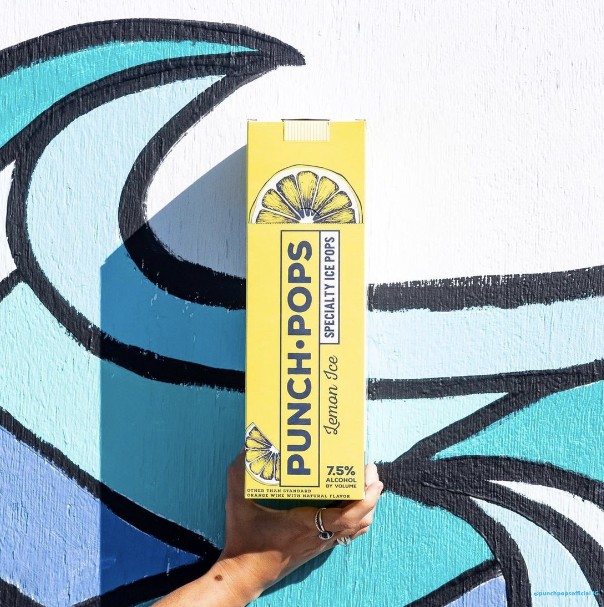 @punchpopsofficial-5 copy.png