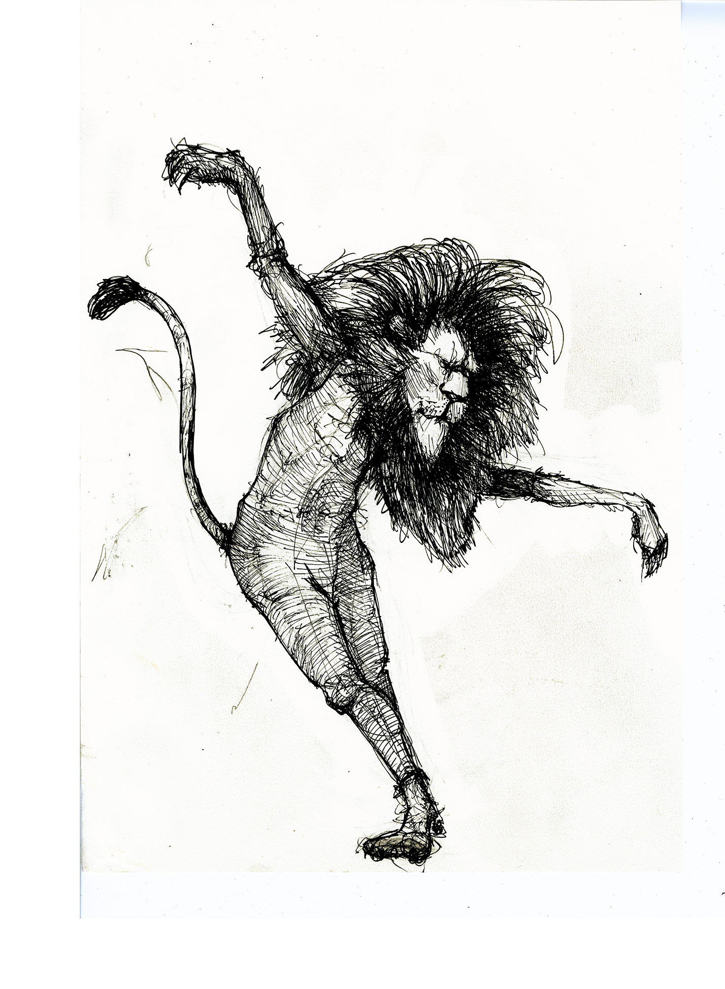 lion-web.png
