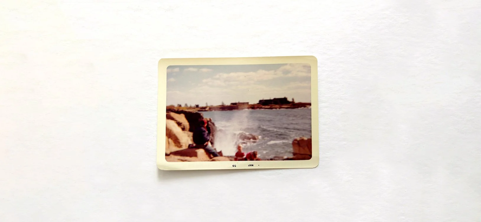 gallery-3.jpg
