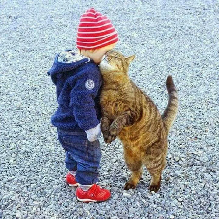 boy and cat.jpg