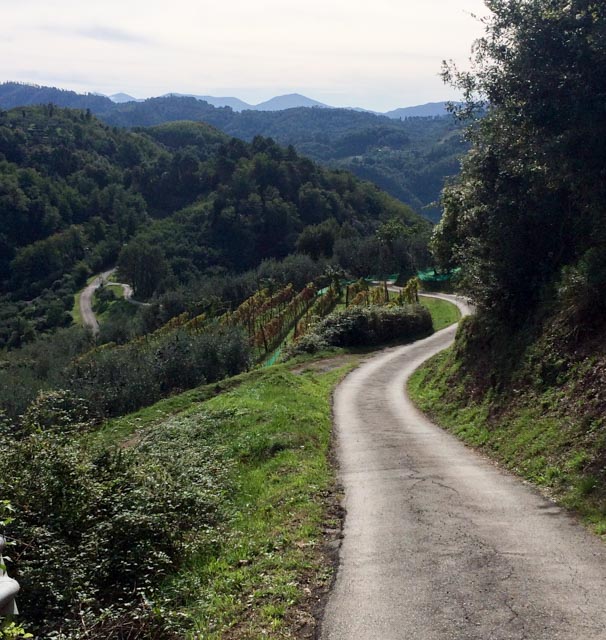 The perfect spot to practice your descending