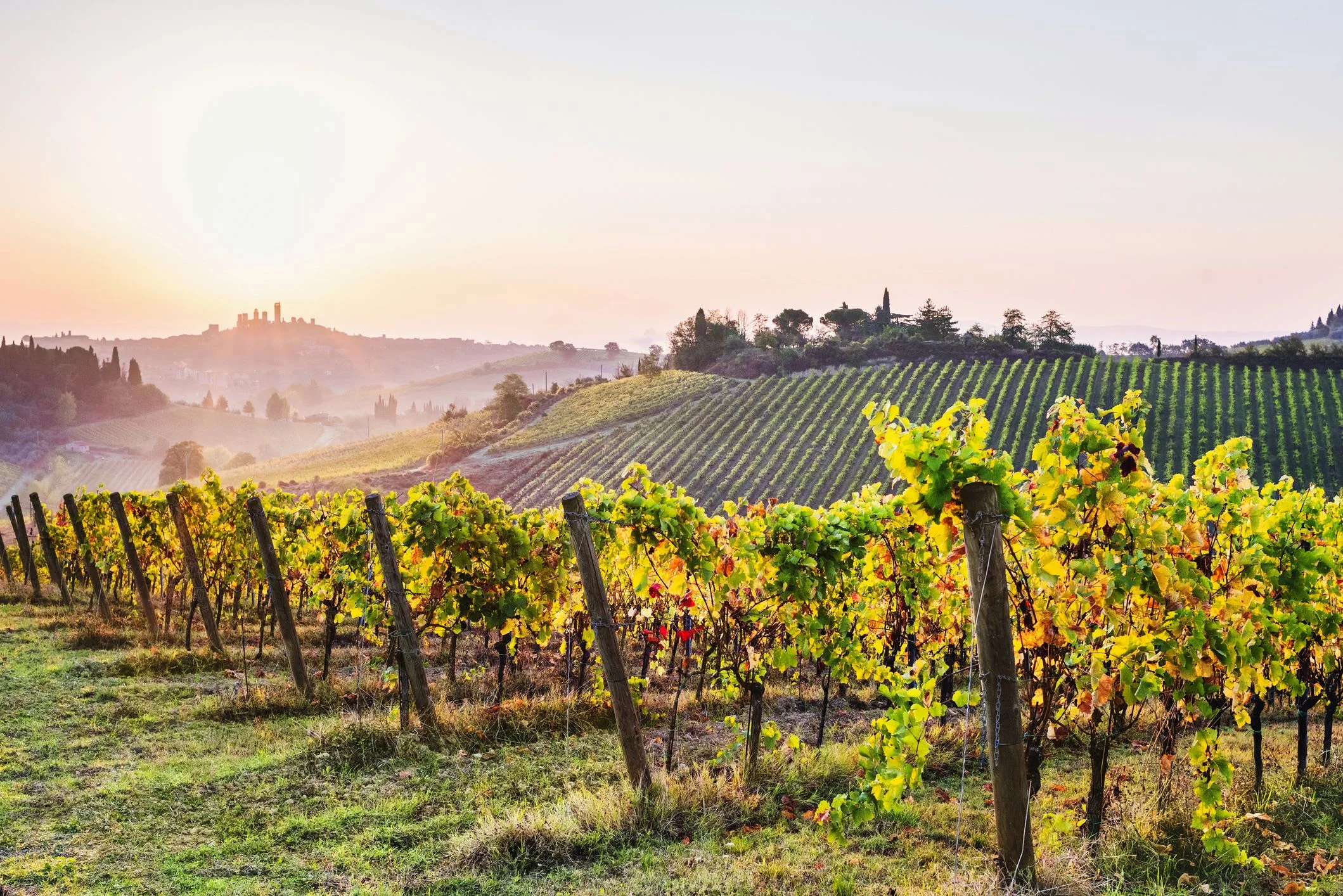 The towers of San Gimignano in the distance. Photograph: Poike/Getty Images