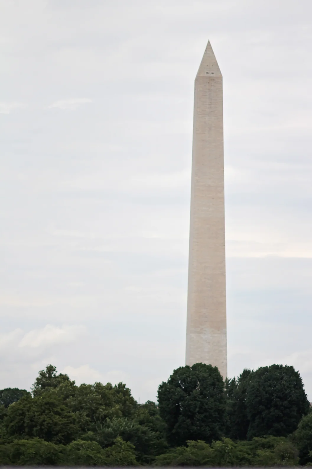 IMG_9908.jpg
