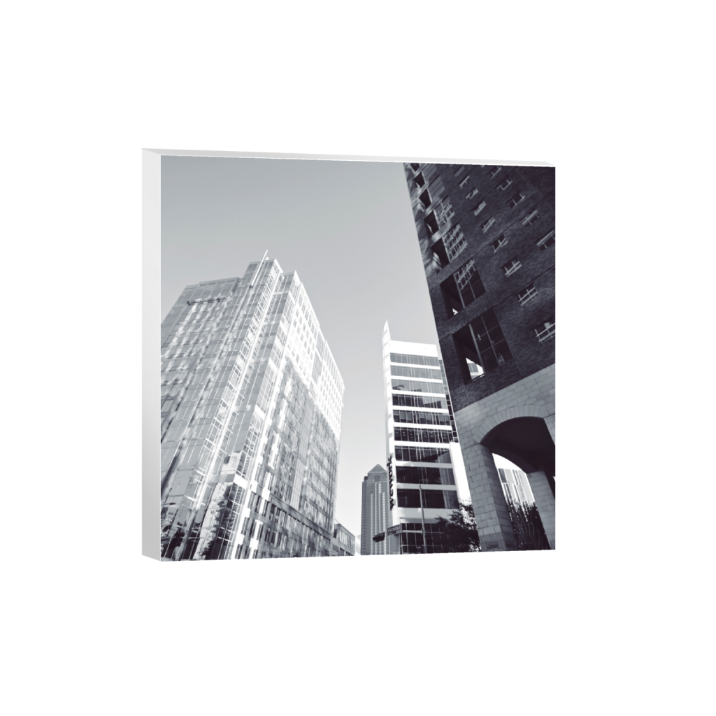 canvas_square_0_912_3648_3648_0_false_ffffff_0_0.png