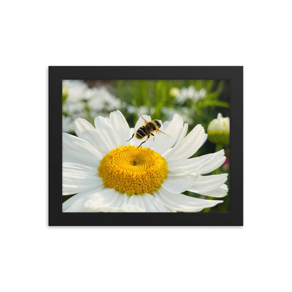 enhanced-matte-paper-framed-poster-(in)-black-8x10-transparent-625347be33c94.jpg