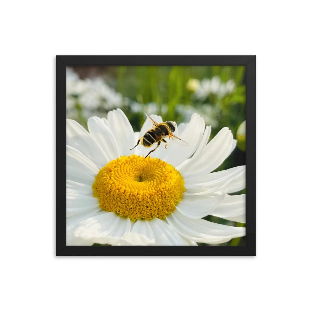 enhanced-matte-paper-framed-poster-(in)-black-14x14-transparent-625347be3491c.jpg