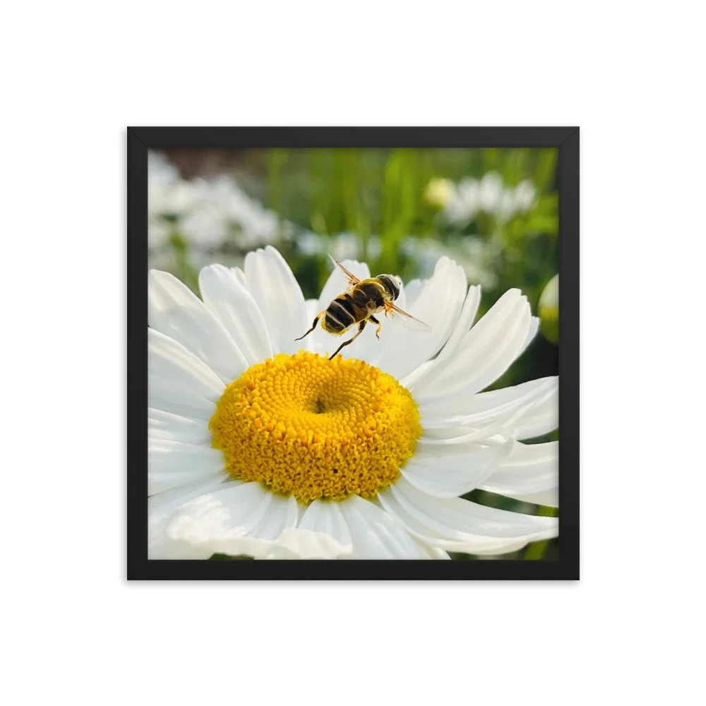 enhanced-matte-paper-framed-poster-(in)-black-16x16-transparent-625347be34a0f.jpg