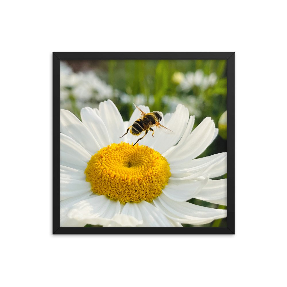 enhanced-matte-paper-framed-poster-(in)-black-18x18-transparent-625347be34bcd.jpg