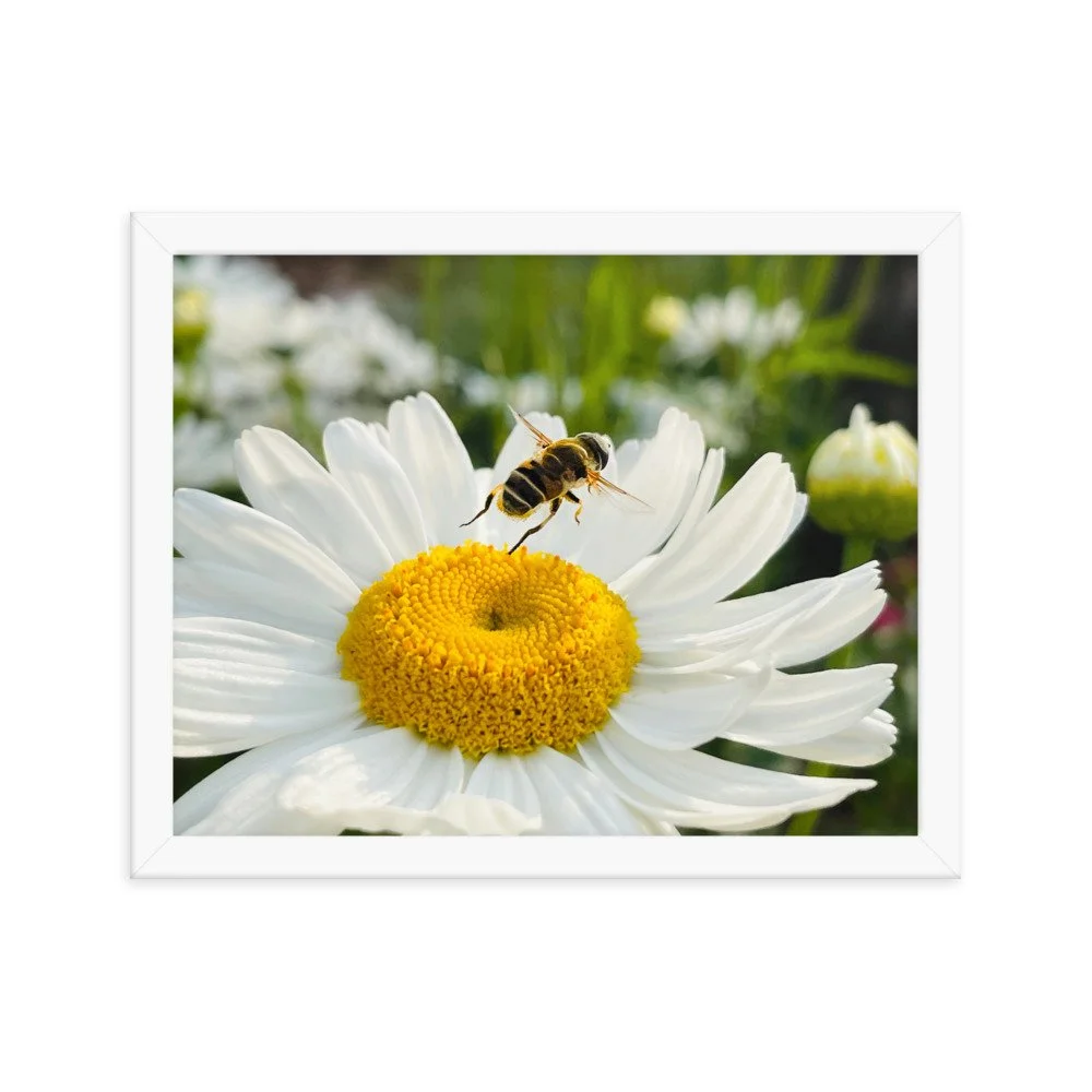 enhanced-matte-paper-framed-poster-(in)-white-11x14-transparent-625347be34f33.jpg