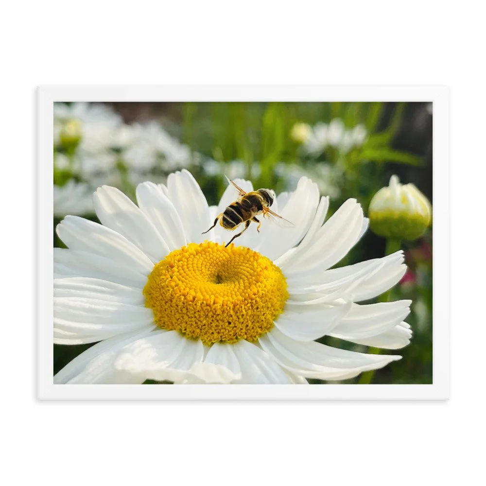 enhanced-matte-paper-framed-poster-(in)-white-18x24-transparent-625347be35512.jpg