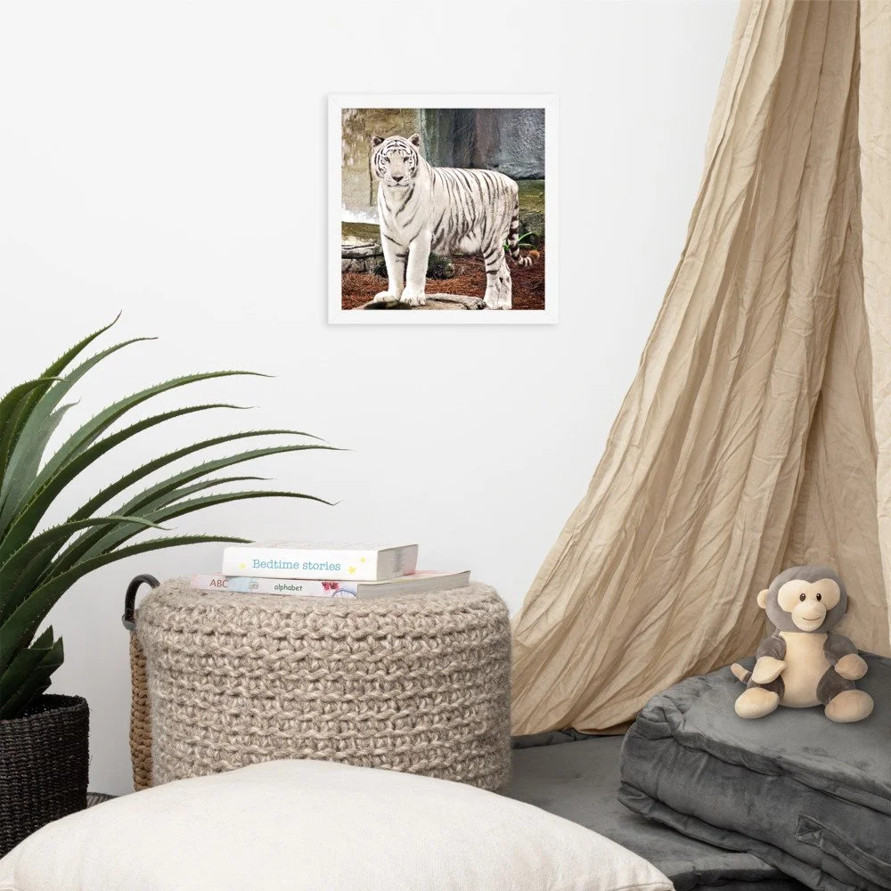 enhanced-matte-paper-framed-poster-(in)-white-12x12-front-6253541c3c782.jpg