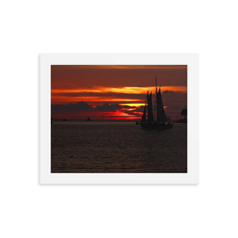 enhanced-matte-paper-framed-poster-(in)-white-8x10-transparent-625354f91c7df.jpg