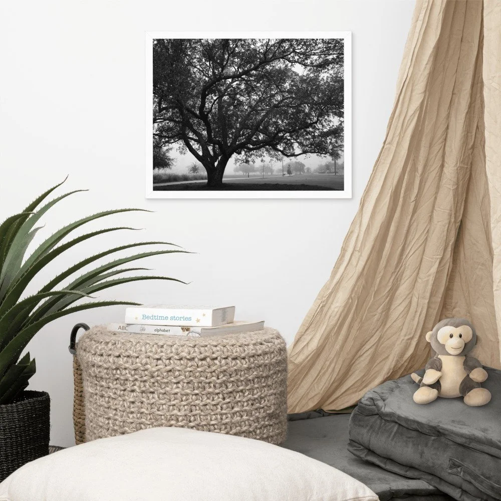 enhanced-matte-paper-framed-poster-(in)-white-16x20-front-625357ccb3980.jpg