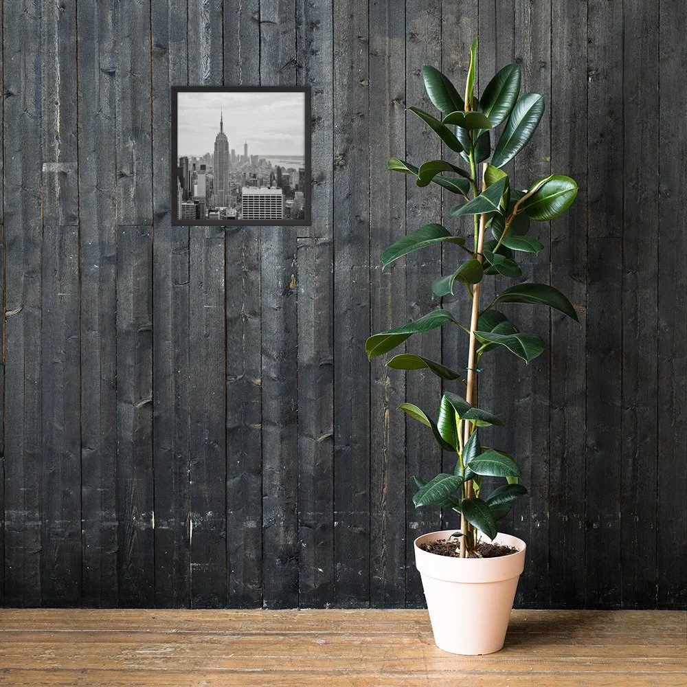 enhanced-matte-paper-framed-poster-(in)-black-16x16-lifestyle-2-625359c7f3dea.jpg