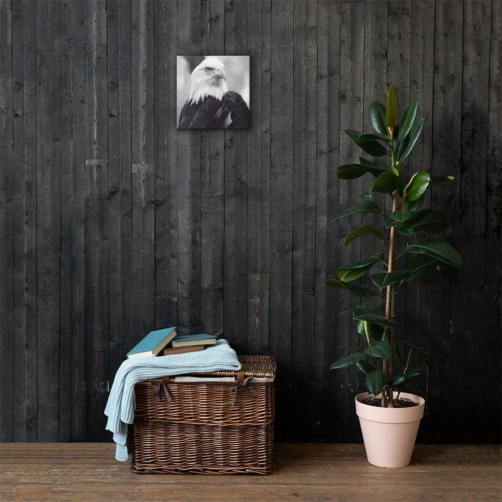 canvas-(in)-12x12-lifestyle-1-62537b95ac1a6.jpg
