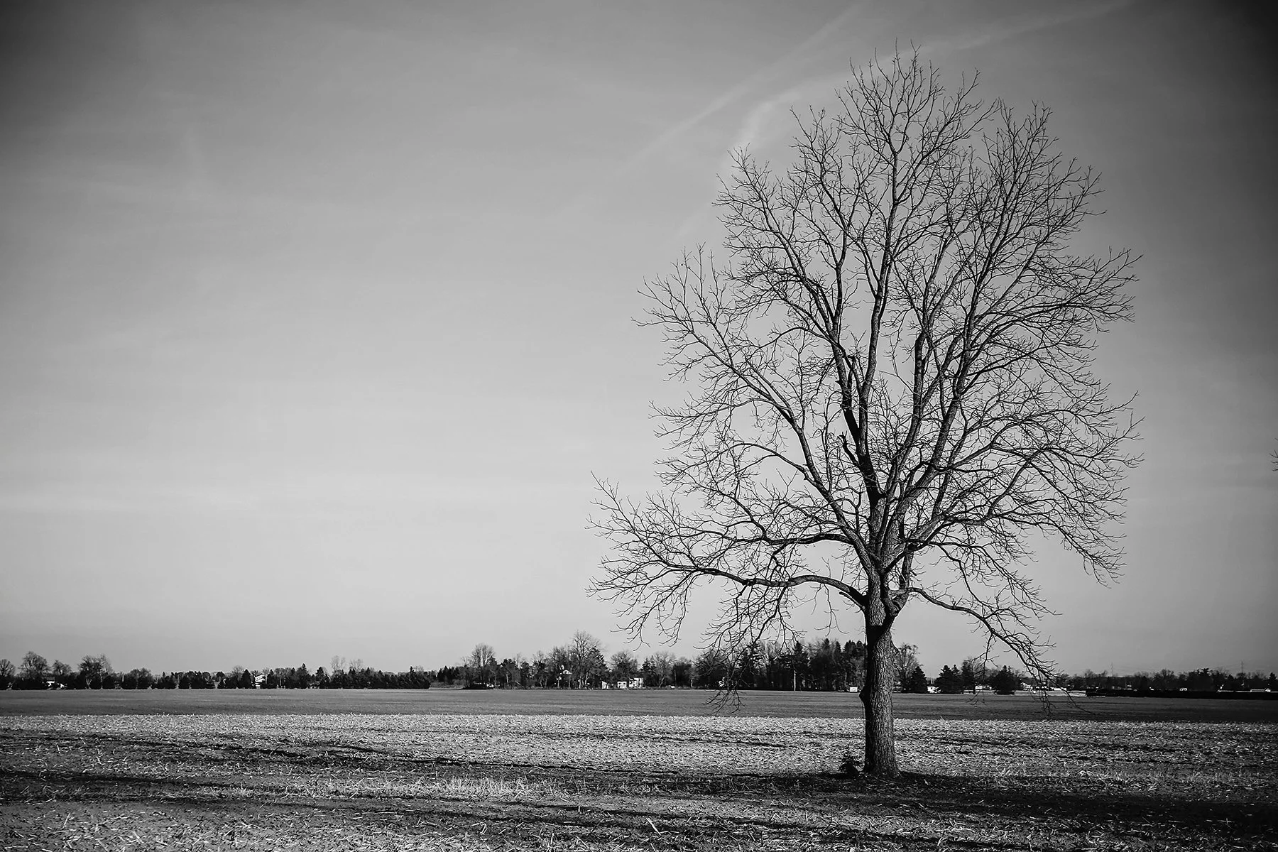 IMG_4722.jpg