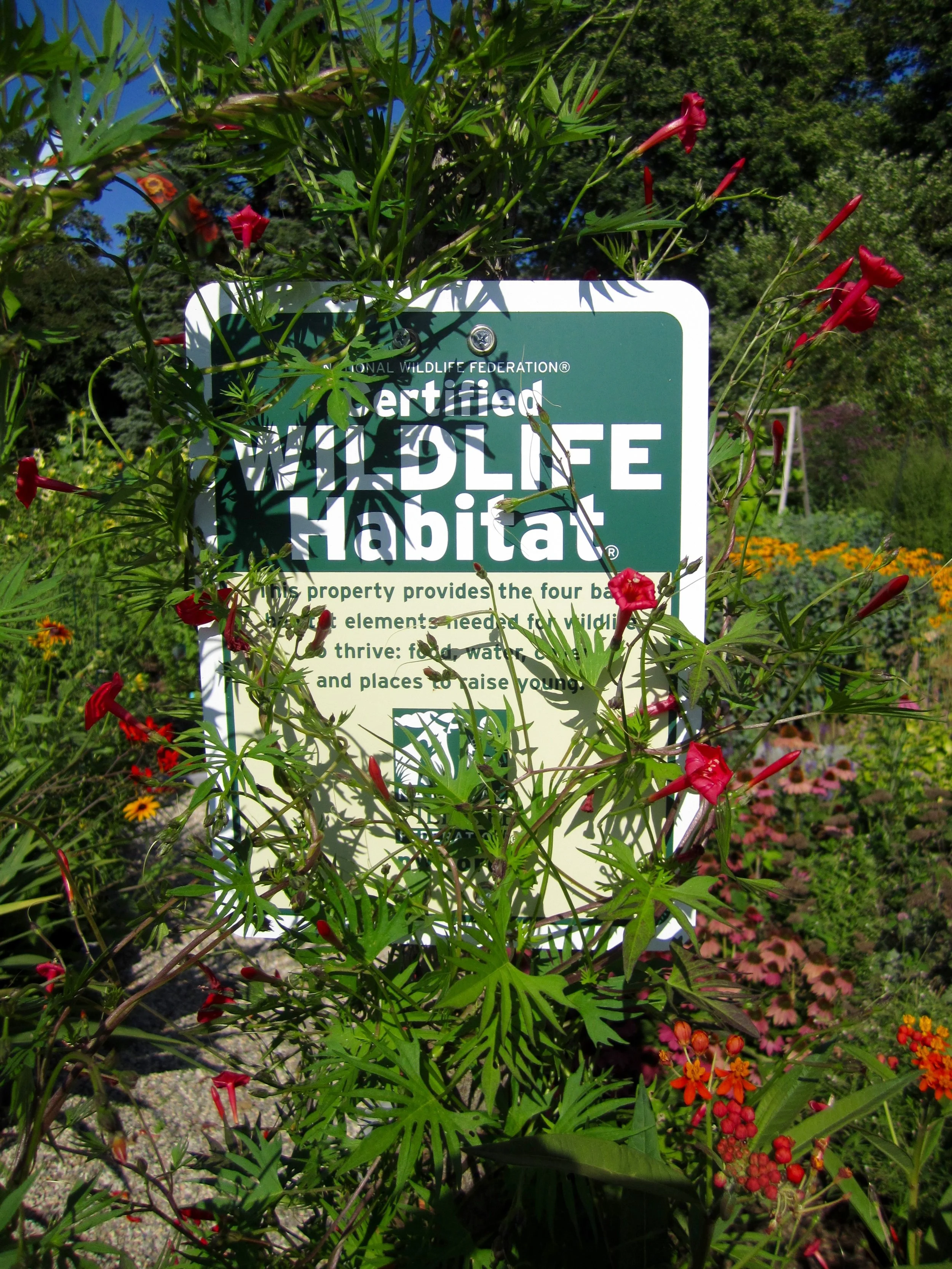 WildlifeSign.jpg