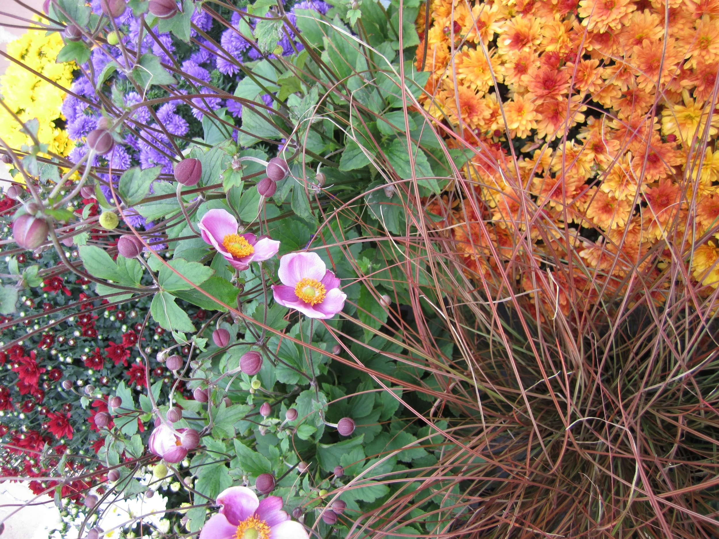 FallDisplay4Vert.jpg